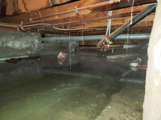 Local water damage restoration in Rosedale, WA