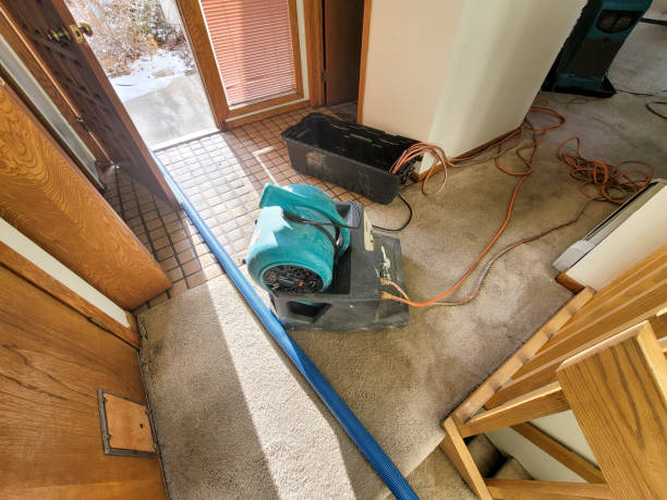 Best Professional water damage repair  in Rosedale, WA