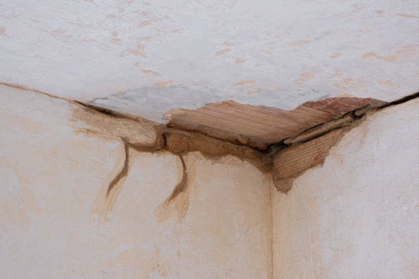Best Water damage restoration mold remediation  in Rosedale, WA