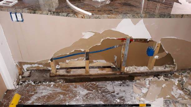 Best Ceiling water damage repair  in Rosedale, WA