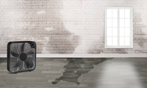 Water damage restoration process in Rosedale, WA