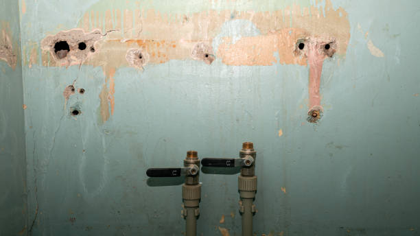 Best Water damage cleanup near me  in Rosedale, WA