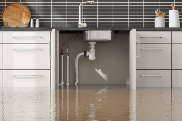Best Water damage restoration near me  in Rosedale, WA