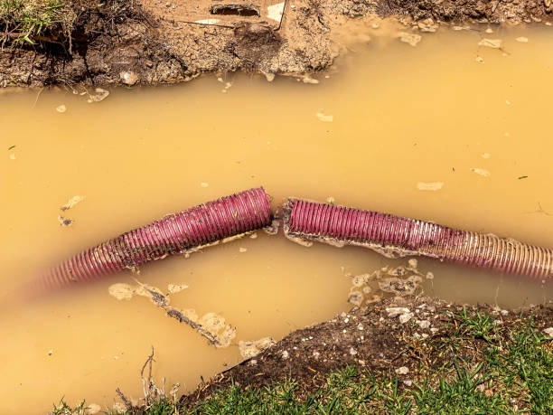 Best 24/7 water damage repair  in Rosedale, WA